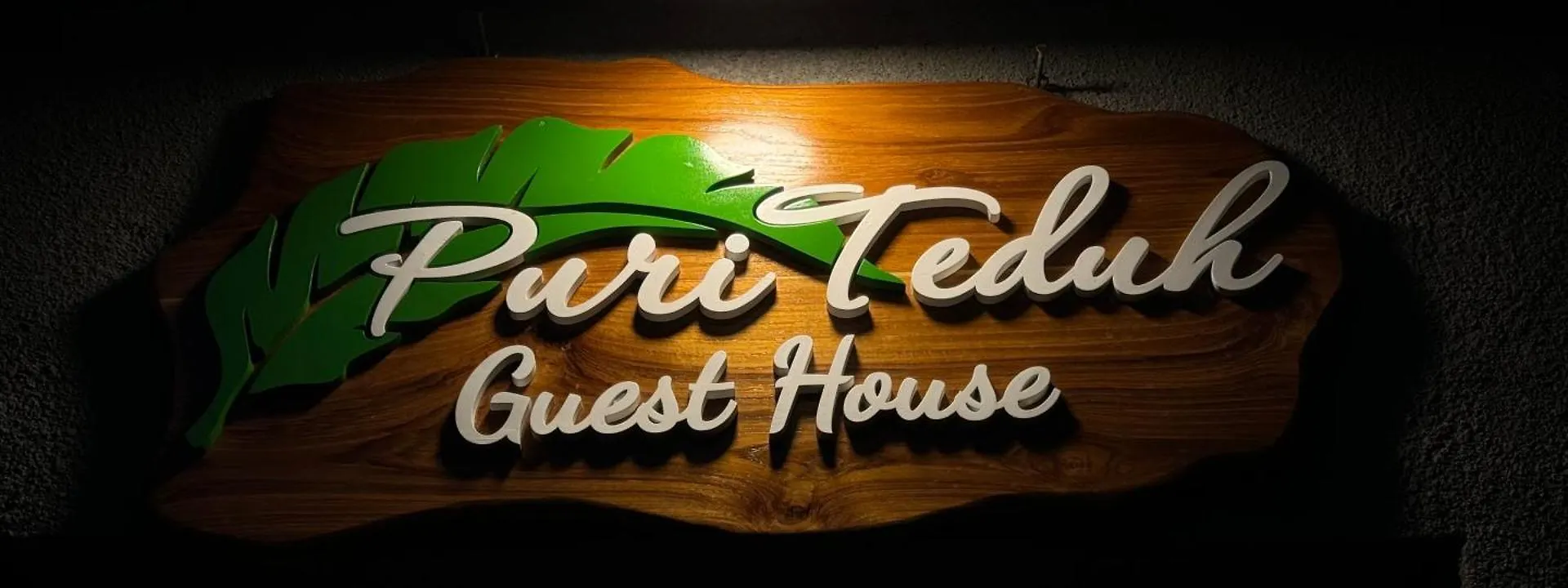 Puri Teduh Guesthouse Ubud Penzion